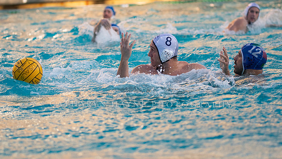 USA Water Polo Men's Exhibition Series: USA vs Italy