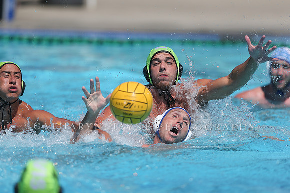 USA Water Polo: National League: Davis vs Alumni