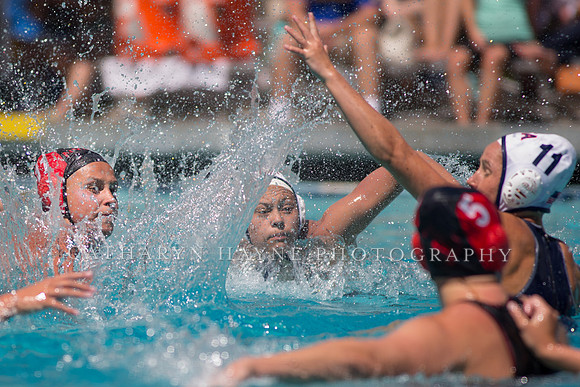 New York Athletic Club A vs USA Junior at US Open Water Polo Tou
