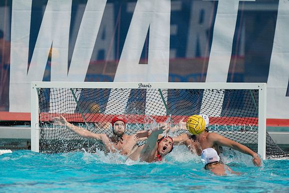 USA Water Polo National League: Olympic Club vs USA University