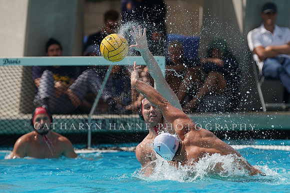 USA Water Polo National League: Olympic Club vs USA University