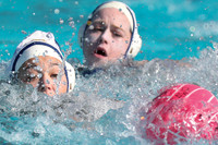 USA Water Polo: Collegiate Cup: California Golden Bears vs UCLA Bruins