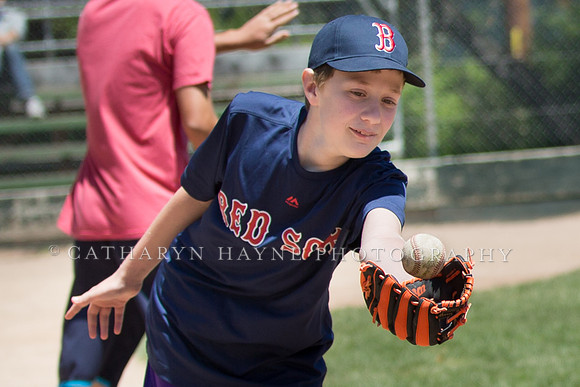 Project Awareness and Special Sports Challenger League Baseball