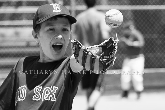 Project Awareness and Special Sports Challenger League Baseball