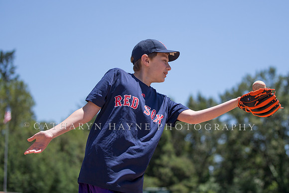 Project Awareness and Special Sports Challenger League Baseball
