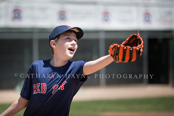 Project Awareness and Special Sports Challenger League Baseball