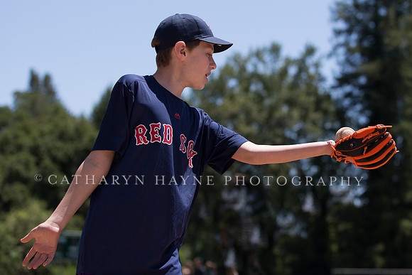 Project Awareness and Special Sports Challenger League Baseball