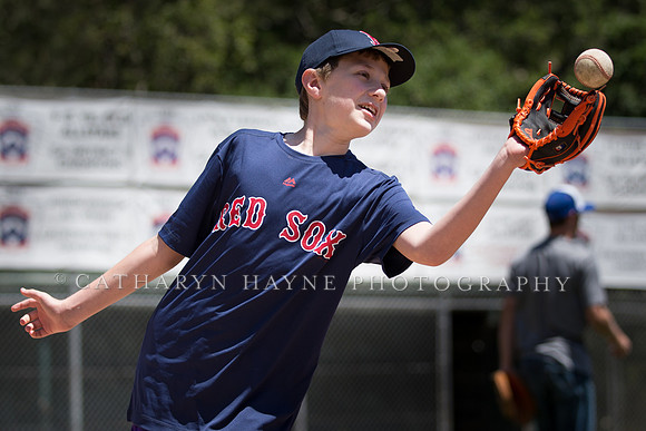 Project Awareness and Special Sports Challenger League Baseball