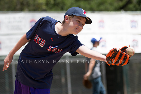 Project Awareness and Special Sports Challenger League Baseball