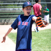 Project Awareness and Special Sports Challenger League Baseball