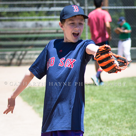 Project Awareness and Special Sports Challenger League Baseball