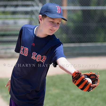 Project Awareness and Special Sports Challenger League Baseball
