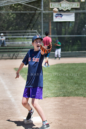 Project Awareness and Special Sports Challenger League Baseball