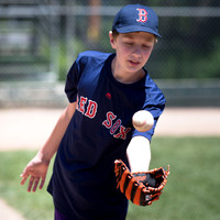 Project Awareness and Special Sports Challenger League Baseball