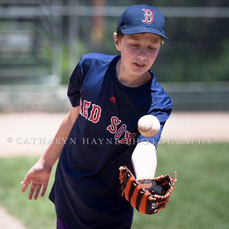 Project Awareness and Special Sports Challenger League Baseball