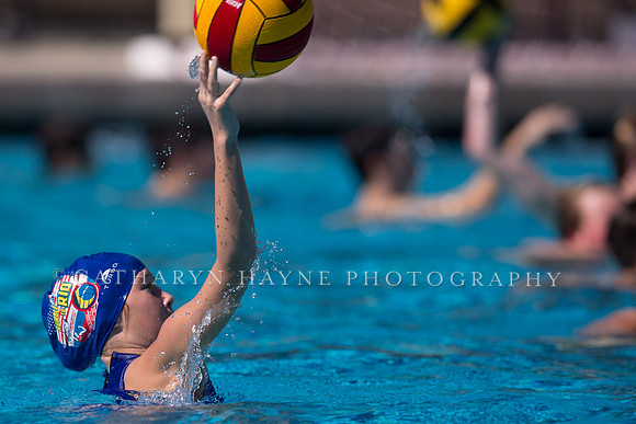 John Mann's Water Polo Clinic