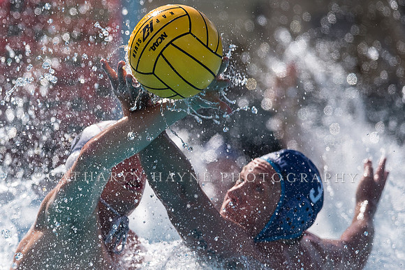 Olympic Club vs Alumni at USA Water Polo National League Games