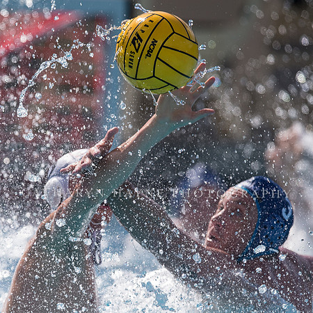 Olympic Club vs Alumni at USA Water Polo National League Games