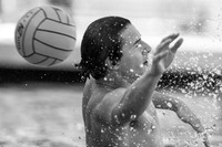 Olympic Club vs Alumni at USA Water Polo National League Games