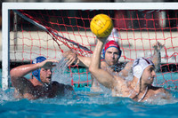 Olympic Club vs Alumni at USA Water Polo National League Games