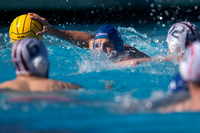 Olympic Club vs Alumni at USA Water Polo National League Games