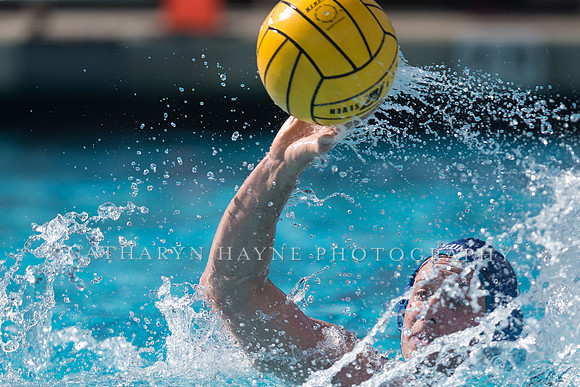 Olympic Club vs Alumni at USA Water Polo National League Games