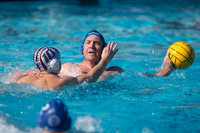 Olympic Club vs Alumni at USA Water Polo National League Games
