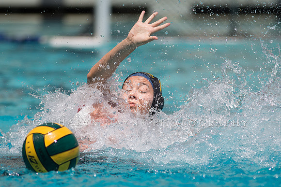Stanford vs SoCalat US Open Water Polo Tournament