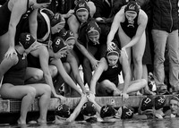 2019.01.27 Cal Cup: California Golden Bears vs Long Beach State University