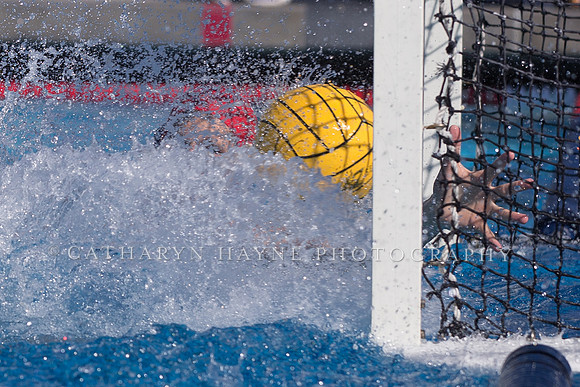 Los Angeles Athletic Club vs USA University at USA Water Polo National League