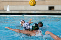USA Water Polo National League: Golden Bears vs Commerce