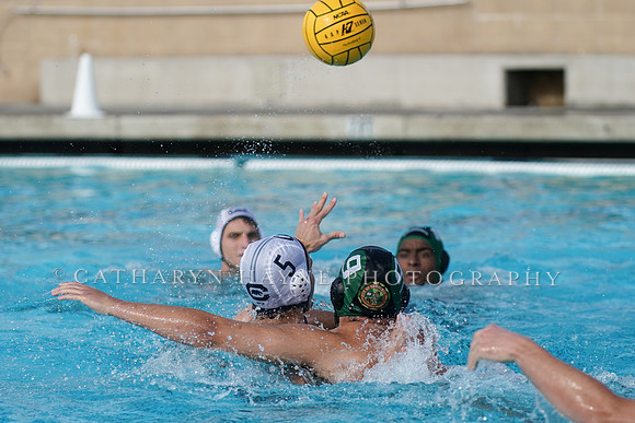 USA Water Polo National League: Golden Bears vs Commerce