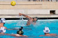 USA Water Polo National League: Golden Bears vs Commerce