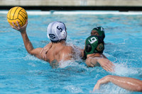 USA Water Polo National League: Golden Bears vs Commerce