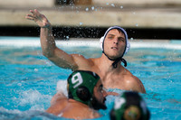 USA Water Polo National League: Golden Bears vs Commerce