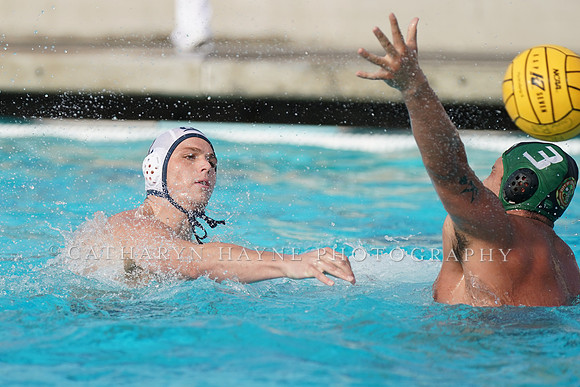 USA Water Polo National League: Golden Bears vs Commerce