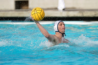 USA Water Polo National League: Golden Bears vs Commerce