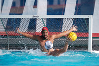 USA Water Polo National League: Golden Bears vs Commerce
