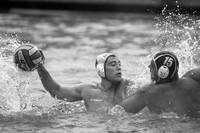 Los Angeles Athletic Club vs New York Athletic Club at USA Water Polo National League