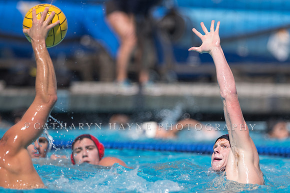 Alumni vs New York Athletic Club at USA Water Polo National League