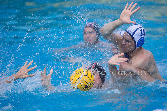 Olympic Club vs Los Angeles Athletic Club at USA Water Polo National League Games,