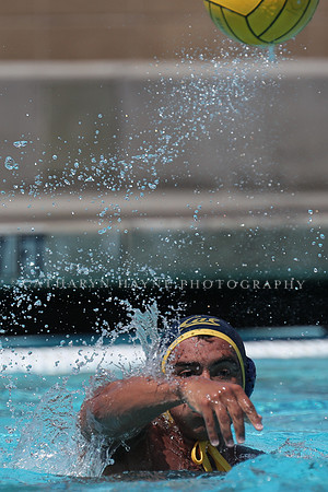 USA Water Polo National League: USA Collegiate vs California