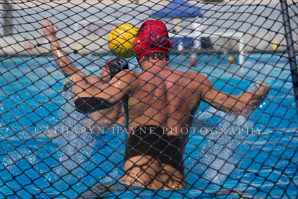 Olympic Club vs New York Athletic Club at USA Water Polo National League
