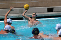 USA Water Polo National League: USA Collegiate vs California