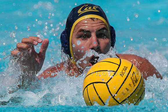 USA Water Polo National League: USA Collegiate vs California