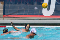 USA Water Polo National League: USA Collegiate vs California