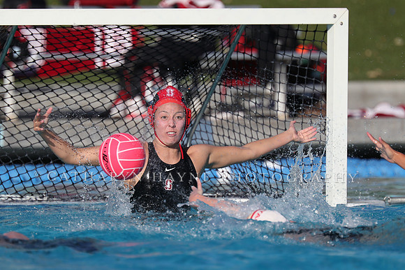 USA Water Polo: Collegiate Cup: New York Athletic Club vs Stanford