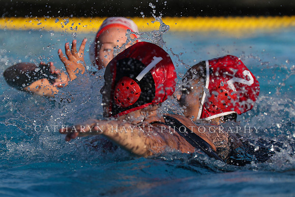 USA Water Polo: Collegiate Cup: New York Athletic Club vs Stanford