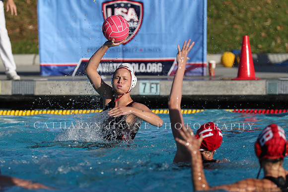 USA Water Polo: Collegiate Cup: New York Athletic Club vs Stanford
