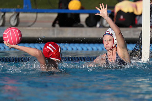 USA Water Polo: Collegiate Cup: New York Athletic Club vs Stanford